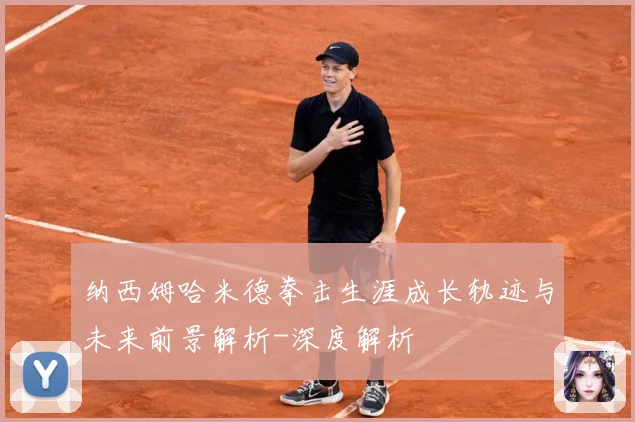 纳西姆哈米德拳击生涯成长轨迹与未来前景解析-深度解析