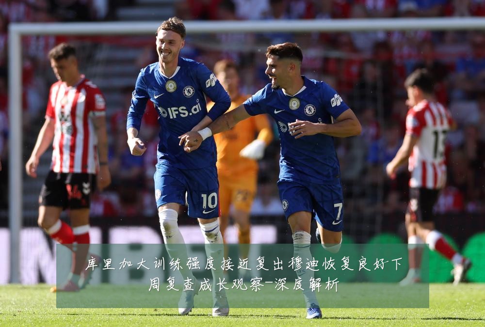 库里加大训练强度接近复出穆迪恢复良好下周复查成长观察-深度解析